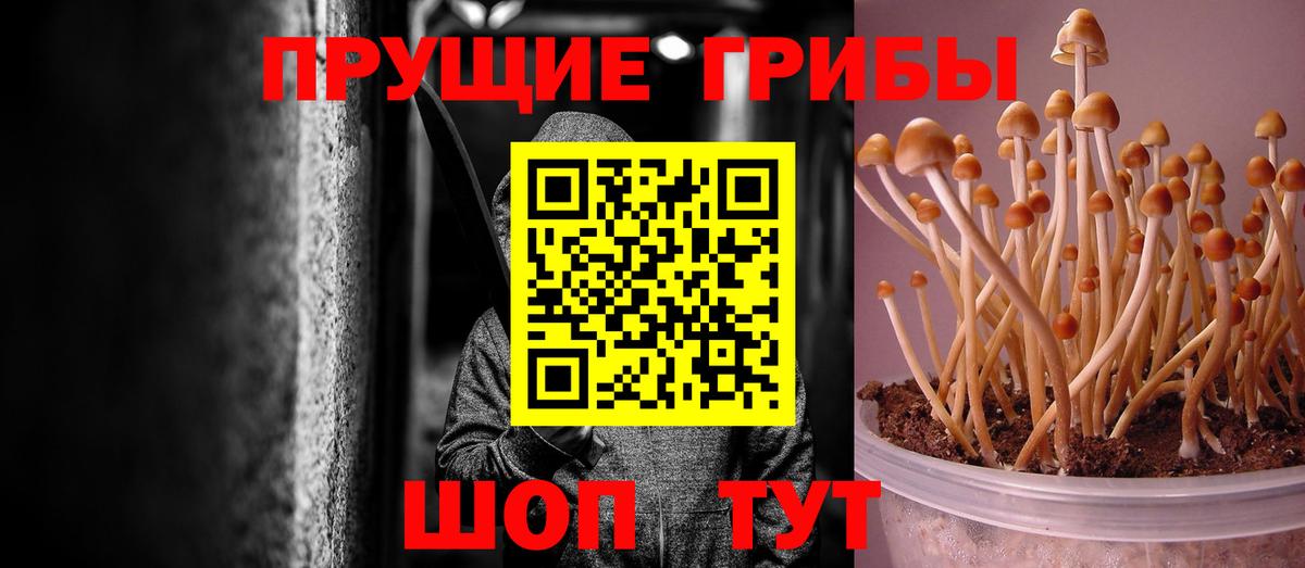 Галлюциногенные грибы ЛСД  Вход с VPN  Темрюк 